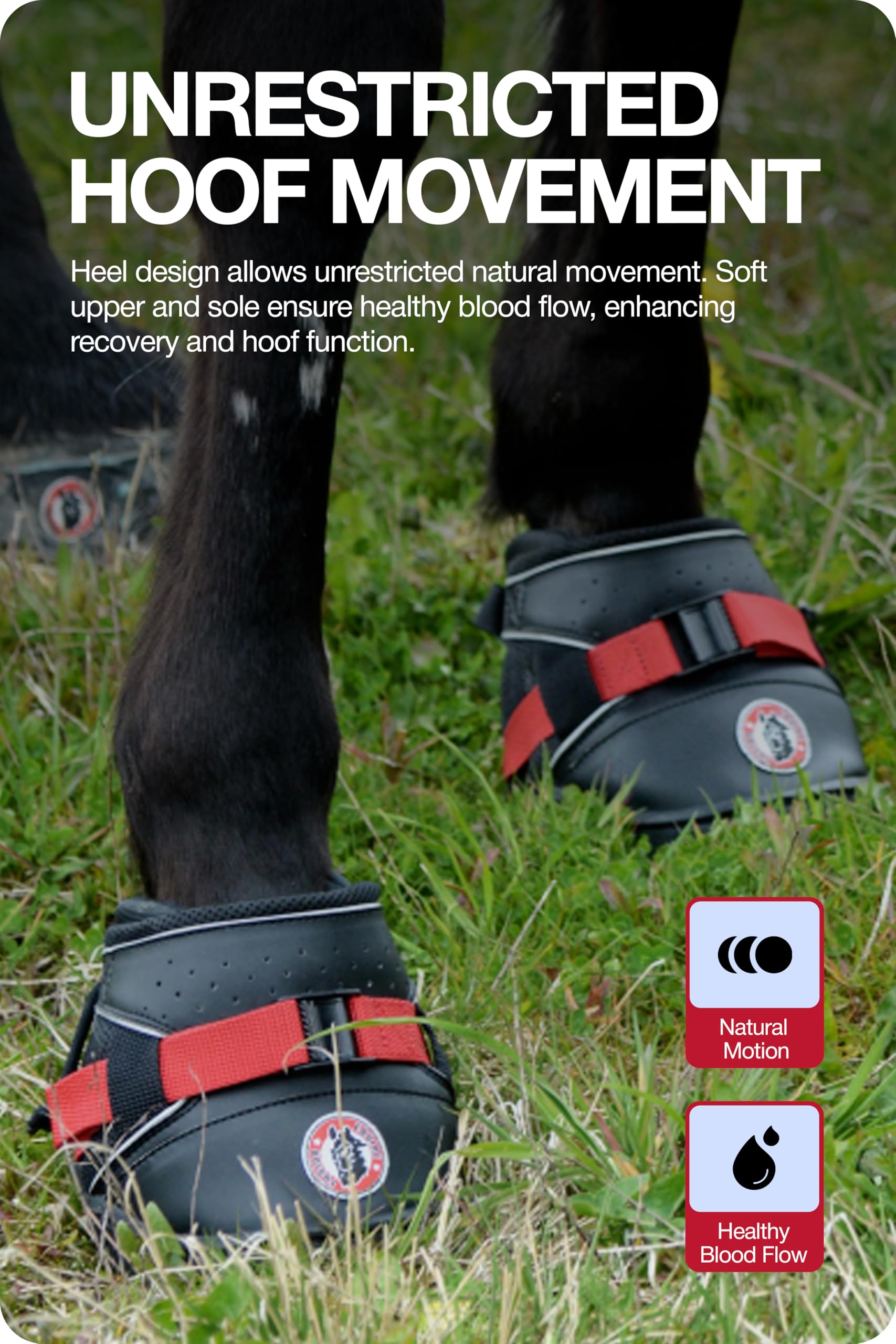 Equine F. Ultra Joggin Shoe 11, schwarz