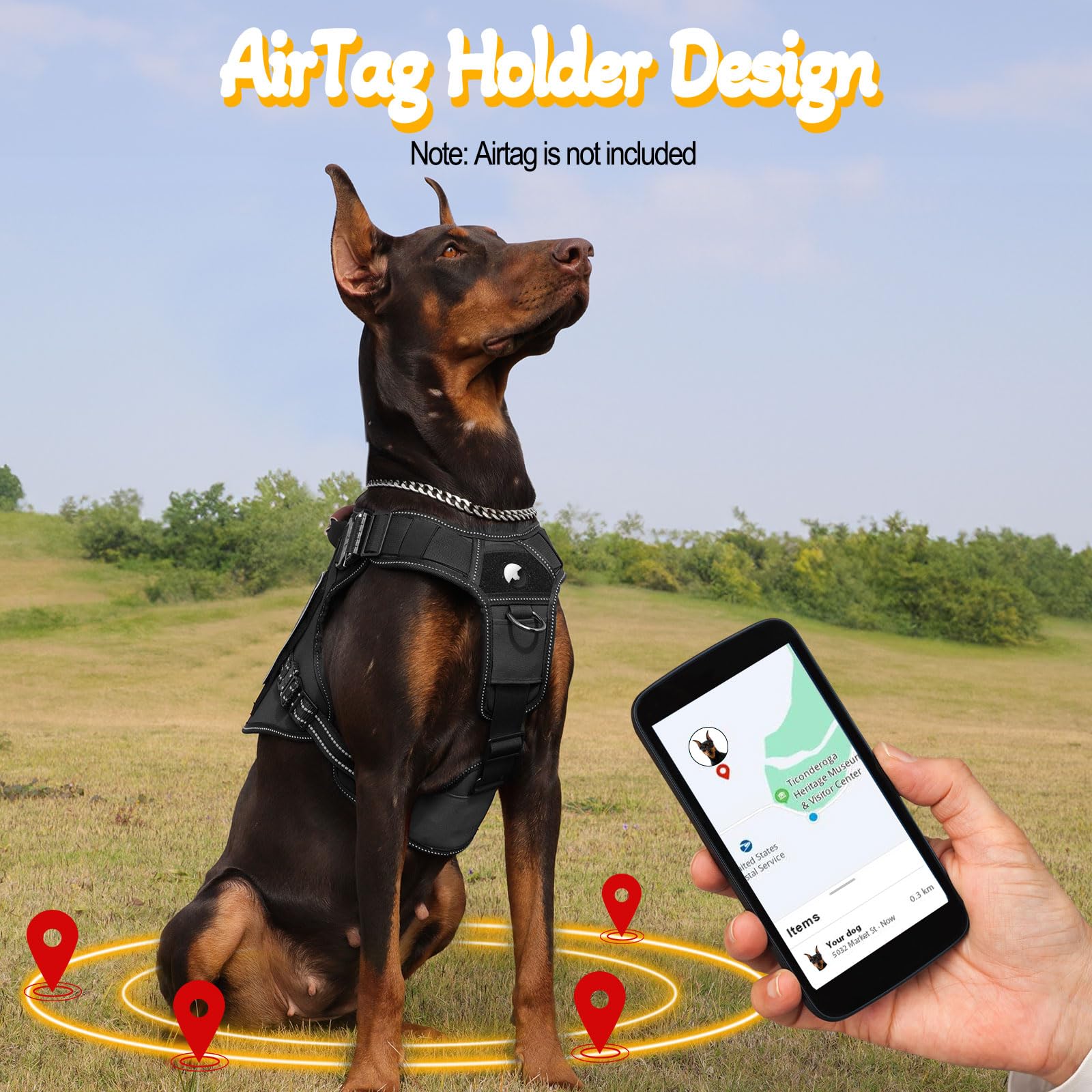 Arnés táctico para perros de servicio para perros medianos y grandes (negro, M)