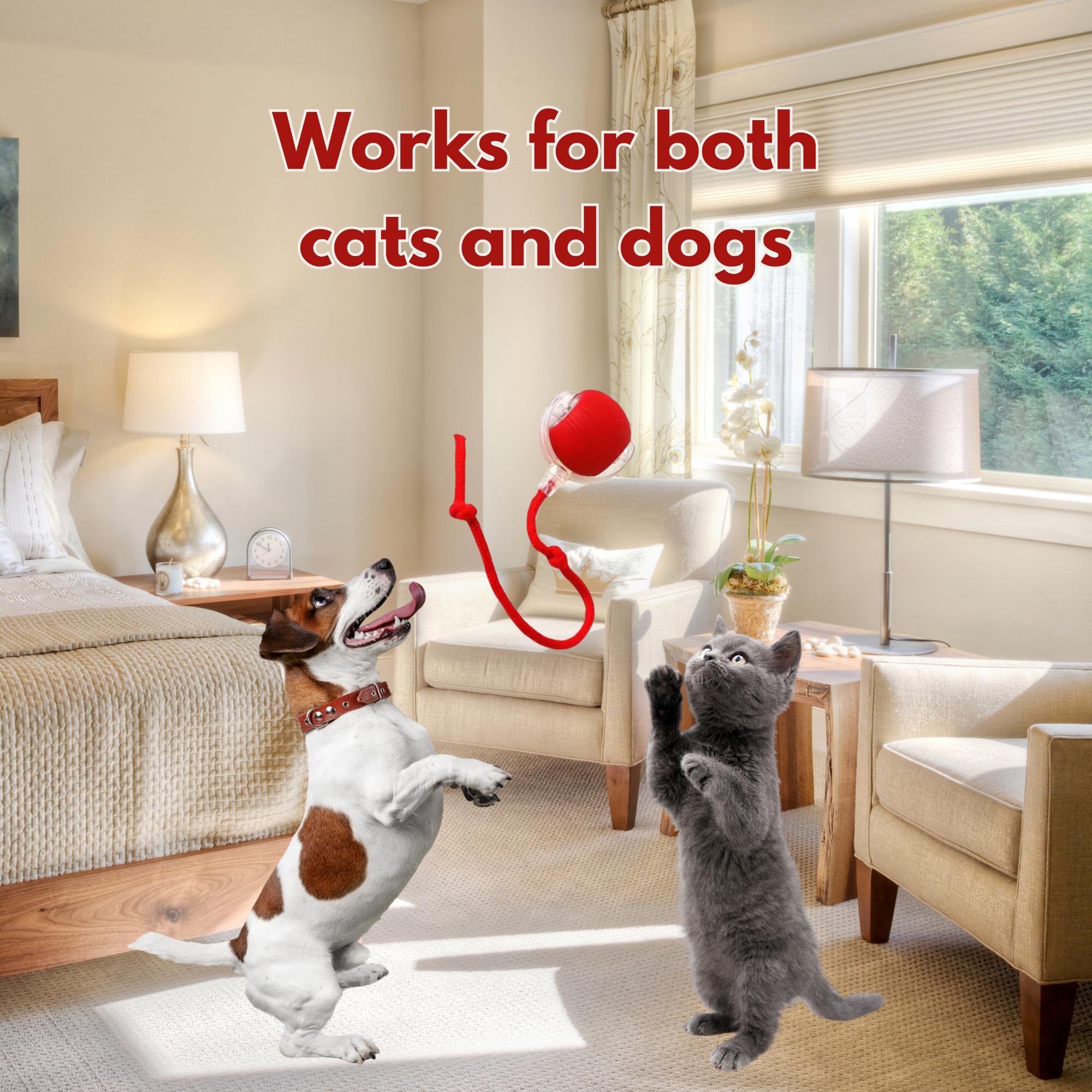 MARDYNUS Speedy Tail 2.0 Cat Toy, 360°Automatic Rolling Ball, Smart Interactive Cat Toy, Smart Jumping Ball for Dogs, Speedy Tail 3.0, Automatic Dog Walker (Red) 4