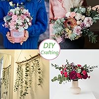 Vista 6 de 10 tallos de eucalipto secos de 17 pulgadas de eucalipto real para colgar en la ducha, 100% hechos de hojas frescas, boda, hogar, granja, decoración