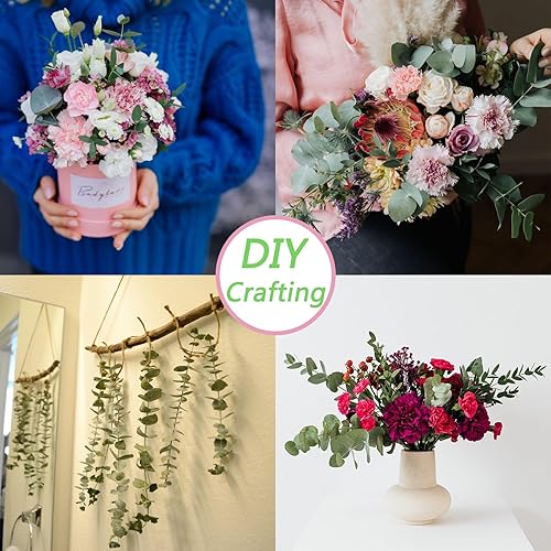 Miniatura 6 de 10 tallos de eucalipto secos de 17 pulgadas de eucalipto real para colgar en la ducha, 100% hechos de hojas frescas, boda, hogar, granja, decoración