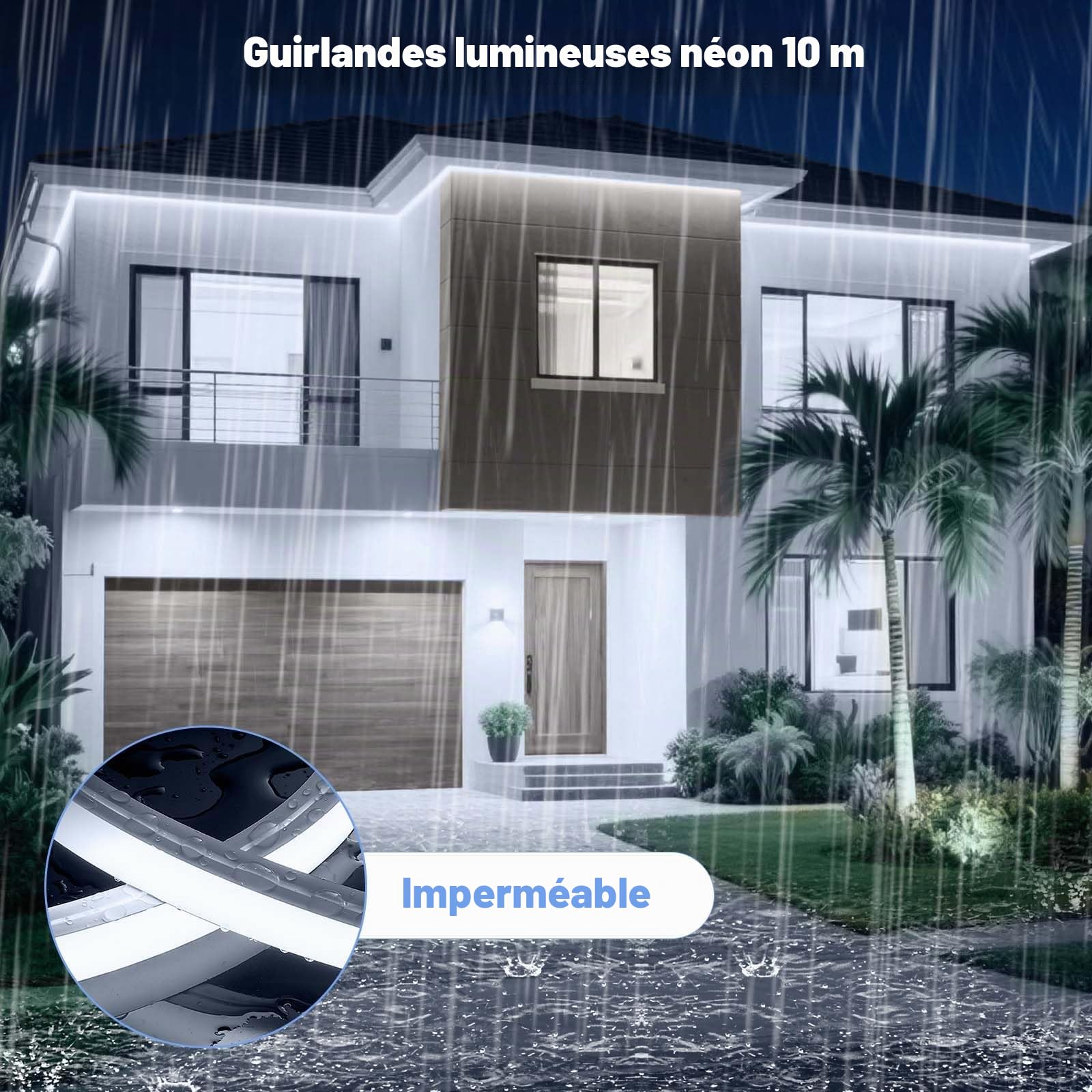 Ruban LED Néon 10M Dimmable 1200 LEDs Blanc Froid 6500K 24V | Bande Néon LED IP65 Étanche Silicone Flexible pour Cuisine Chambre Jardin Décoration Intérieure et Extérieure
