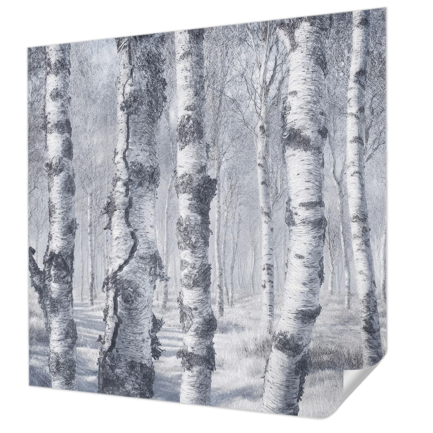 Papier peint haute qualite panoramique trompe l oeil Nature glaciale 250x250 cm