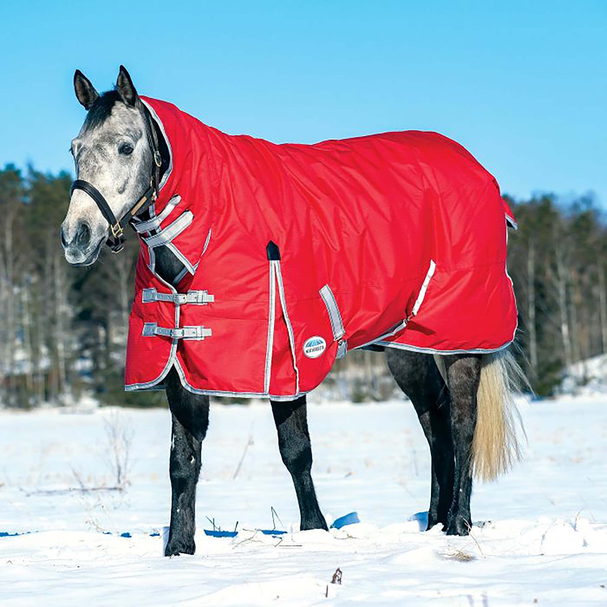 View 3