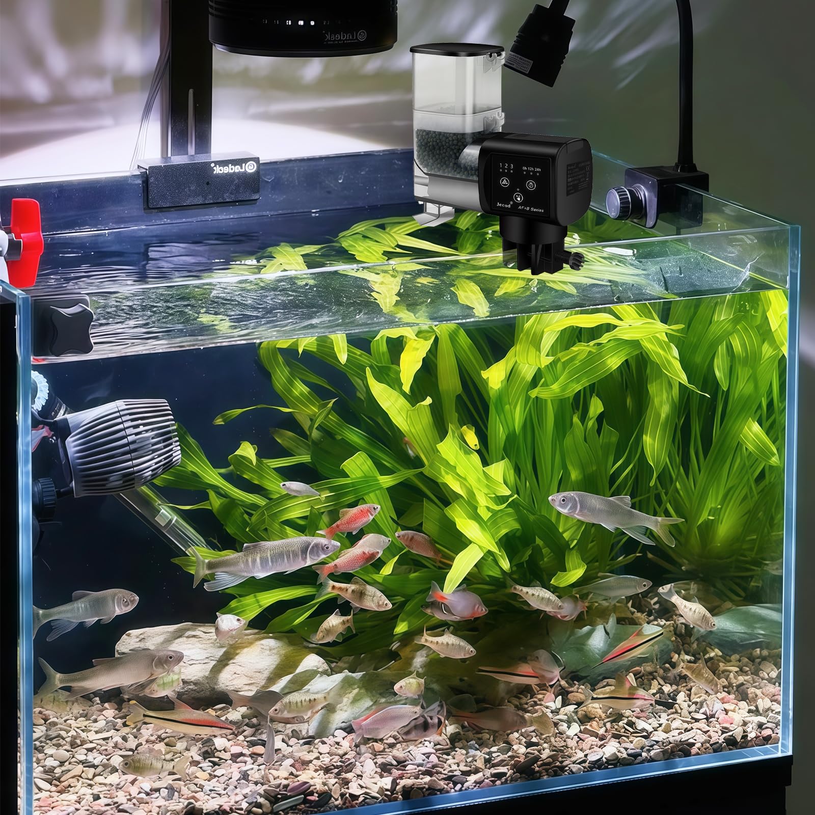 Distributeur automatique de nourriture pour aquarium Sporgo : 250 ml Distributeur automatique de nourriture pour poisson, réglable, distributeur de nourriture pour poissons, distributeur automatique