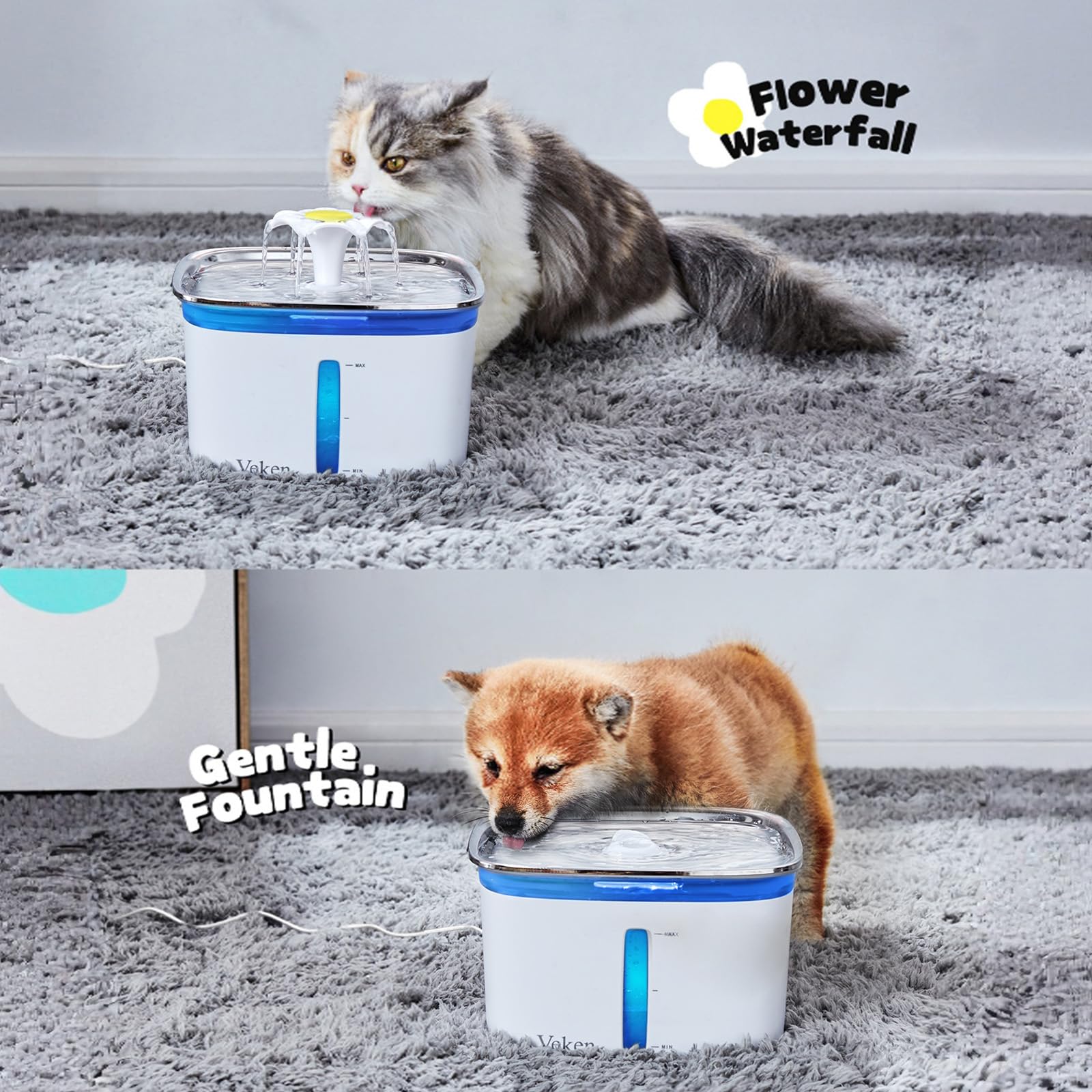 https://m.media-amazon.com/images/I/81PESfHK+yL.jpg