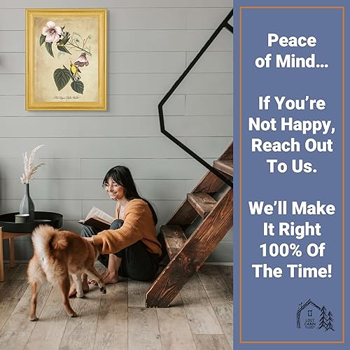 Vista 137 de Towee Bunting by James Audubon - Marco biselado negro de 12 x 16 pulgadas, decoración artística enmarcada para pared, reproducción de pinturas