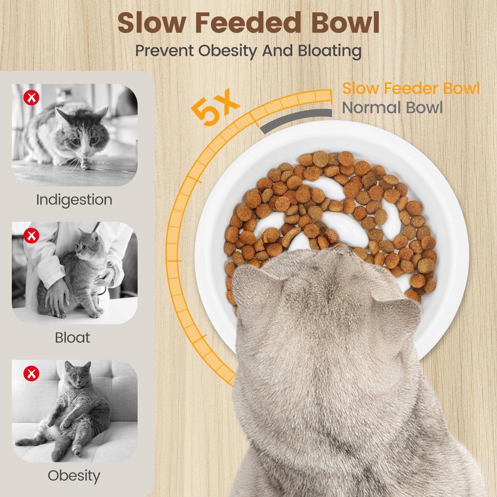 PETTOM Slow Feeder Cat Bowl Ceramic Set including Bamboo Stand, Raised Cat Bowls 15°Tilted - Image 2