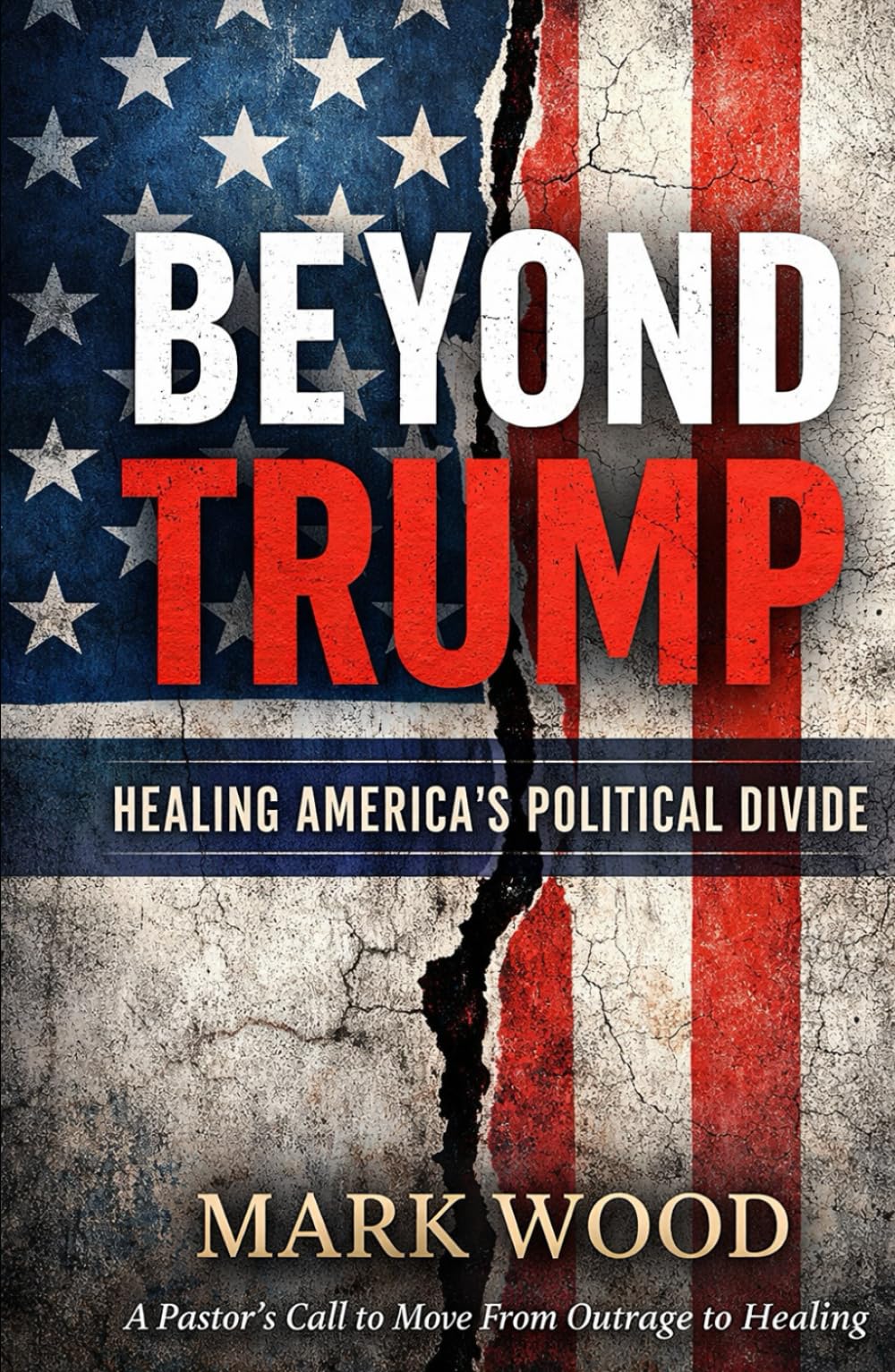 Beyond Trump: Healing America's Politcal Divide