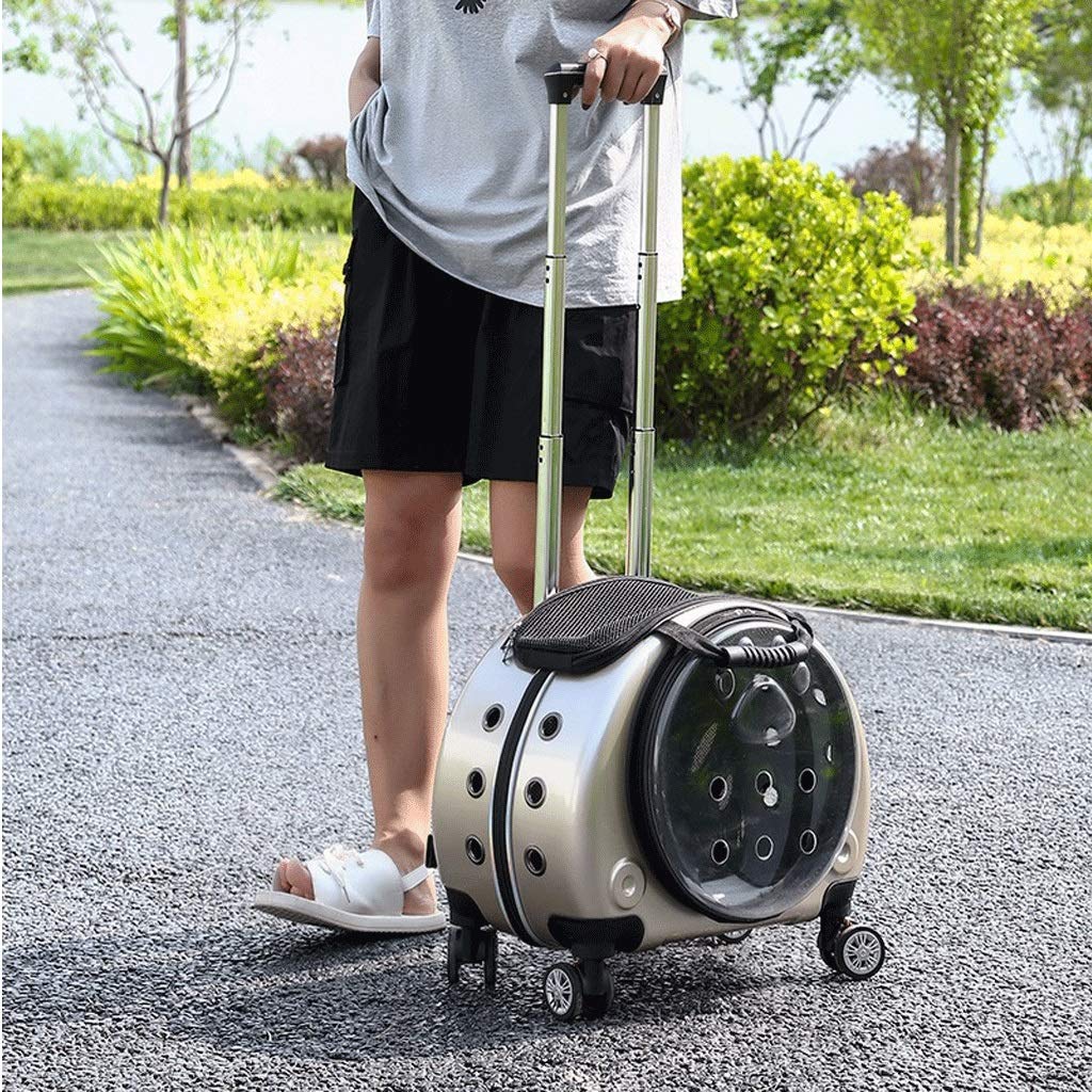 Sac de transport pour animaux transporteurs de voyage pour chat et chien