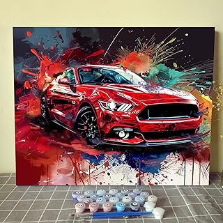 Aihonmin Red Car Paint by Numbers Kits for Adult,Watercolor Painting by Numbers Kits Acrylic Painting Graffiti Racing Car Painting Art Gift Drawing for Home Wall Decor Without Framed 16''W x 20''H