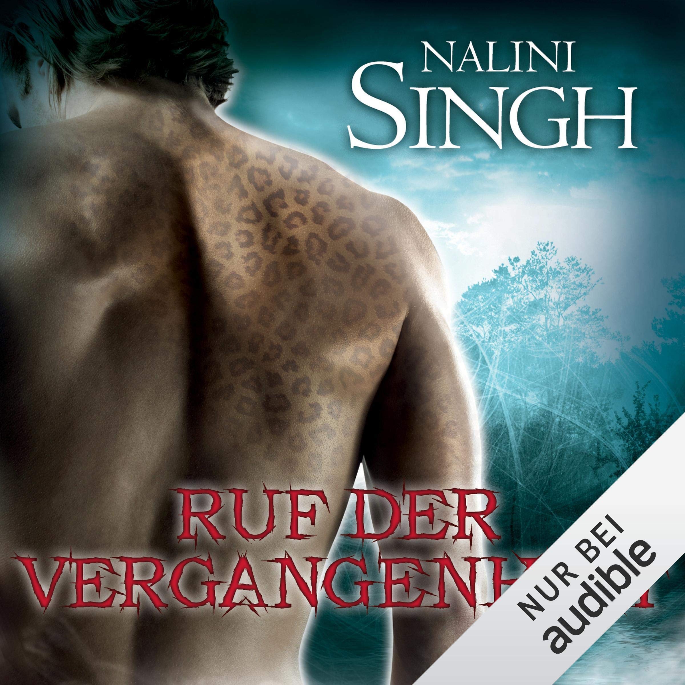 Cover art for Ruf der Vergangenheit
