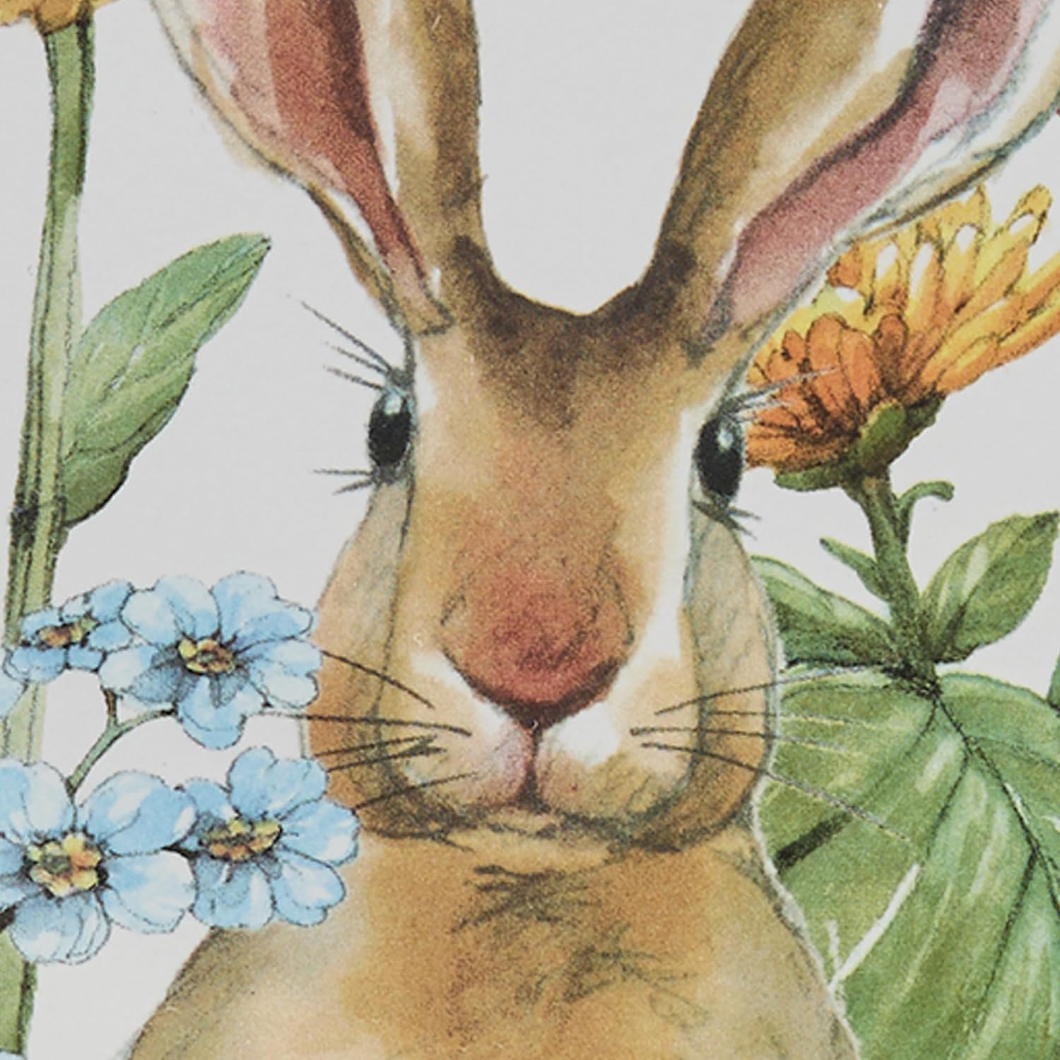 Park Designs Garden Bunnies Salad Plate Set of 4, Colorful Springtime Dinnerware for Spring and Easter Gatherings, Bunny Printed Dolomite Salad Plate for Bright Table Decor