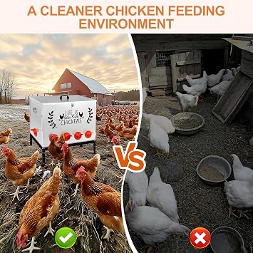 Automatic Chicken Feeders with Lid, 95LB Galvanized Chicken Feeder Metal - 10 No Waste Feeding Ports, Outdoor Large Capacity Poultry Feeders with 4 Adjustable Legs for Outdoor Chicken Coop