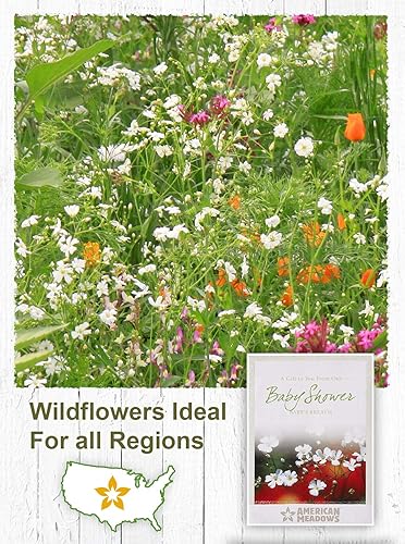 Miniatura 5 de American Meadows Paquetes de semillas de flores silvestres, recuerdos de fiesta de baby shower (paquete de 20)  Paquete de semillas de flores
