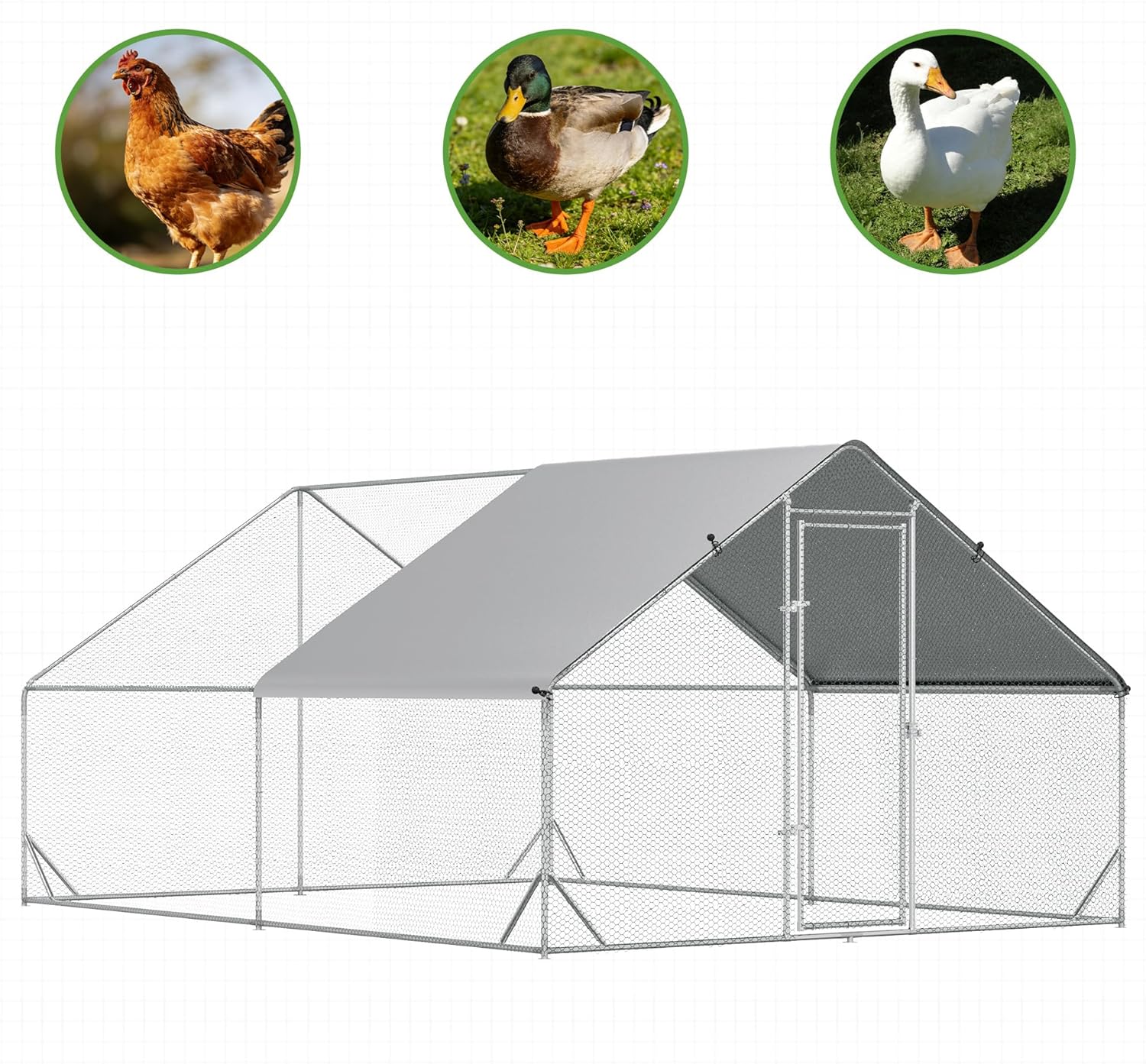 Illustrations of chickens, ducks, and geese, indicating suitability for various poultry