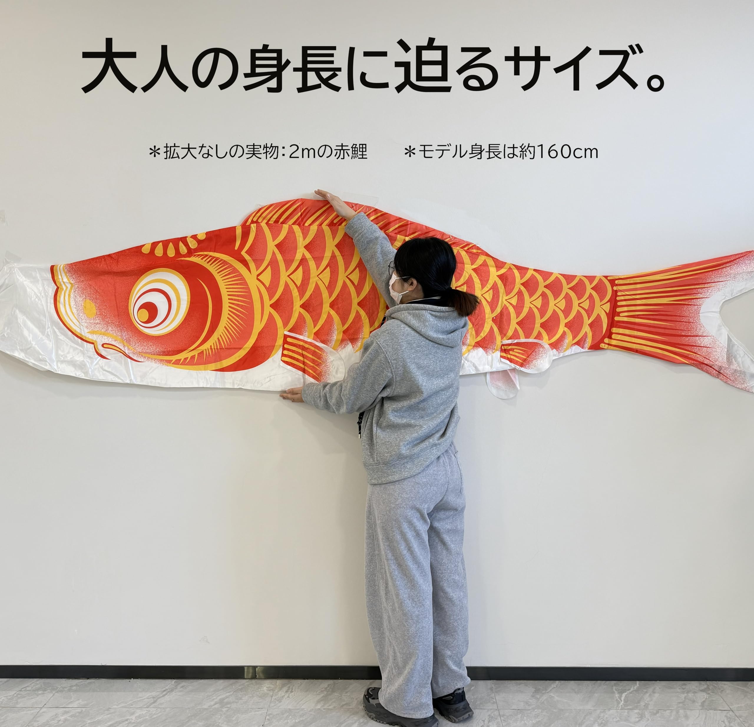 Amazon | 鯉のぼり 庭園用 5m 大型こいのぼりセット 五色吹流し5m 黒4m