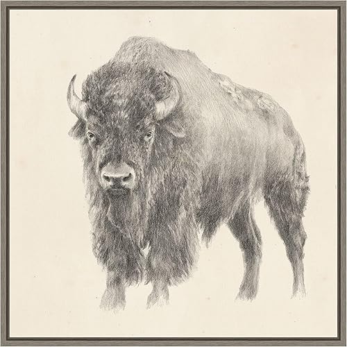 Miniatura 15 de Amanti Art Lienzo enmarcado para pared, 22 x 22 pulgadas, estudio de bisonte occidental por Ethan Harper, lienzo enmarcado para pared, obras de arte