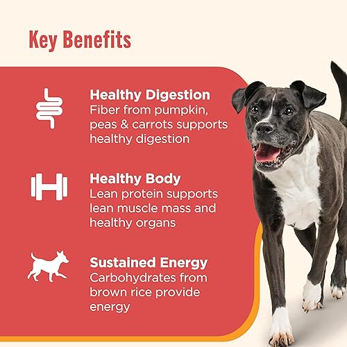 Miniatura 4 de Rachael Ray Nutrish Alimento húmedo para perros, paquete variado de digestión suave, latas de 13 onzas (paquete de 12)