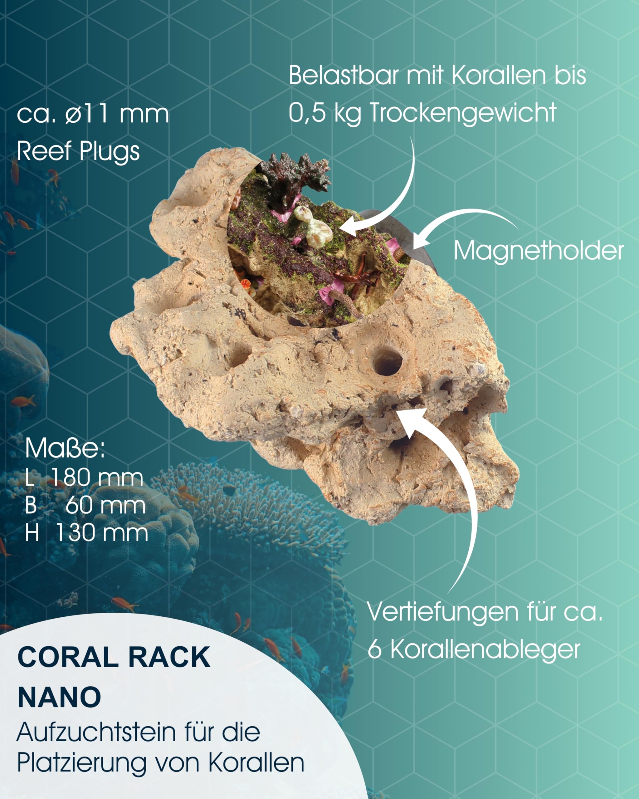 Tunze Coral Rack Nano I Keramikstein für die Platzierung von Korallen I Aquarium-Deko mit starker Magnethalterung I wachsender Stein für Korallenaufzucht in Süßwasser & Meerwasser