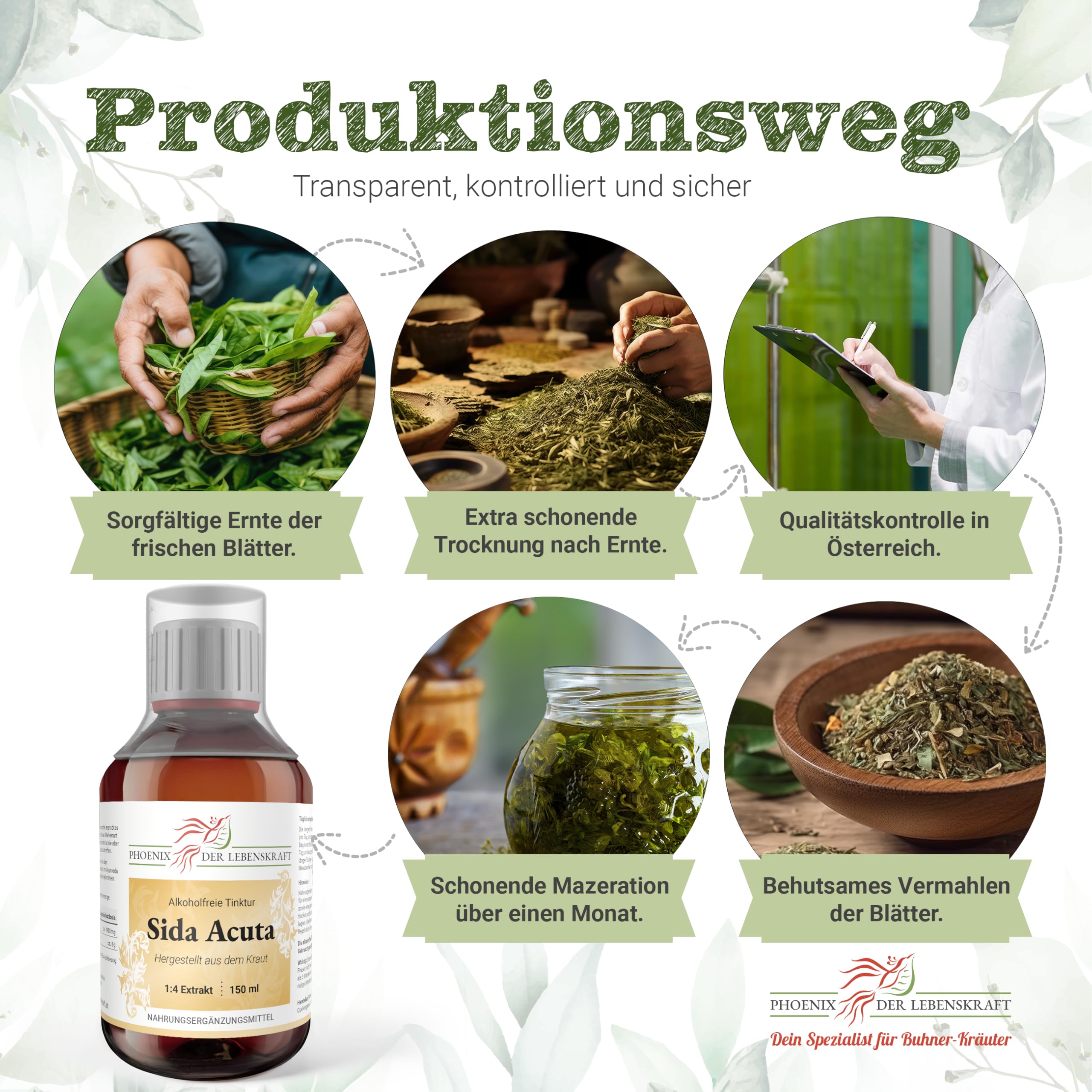 Sida Acuta Tinktur (alkoholfrei) - 150ml, Sida Acuta Tropfen, 1:4 Extrakt, Top Premium Qualität, Hergestellt in Österreich, Vegan
