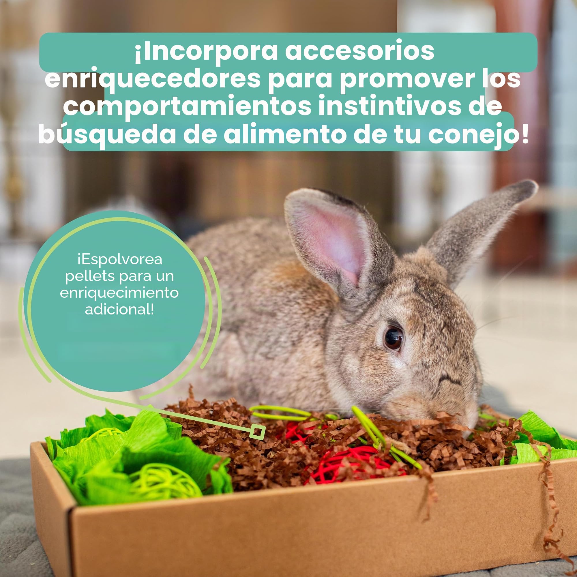 Oxbow Essentials - Alimento para Conejo para Adultos, 25 Libras.