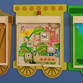 Classroom Essentials Commercial Grade STEAM Wall Activity Board with Natural Finish and Multicolor Accents, Butterfly Life Cycle