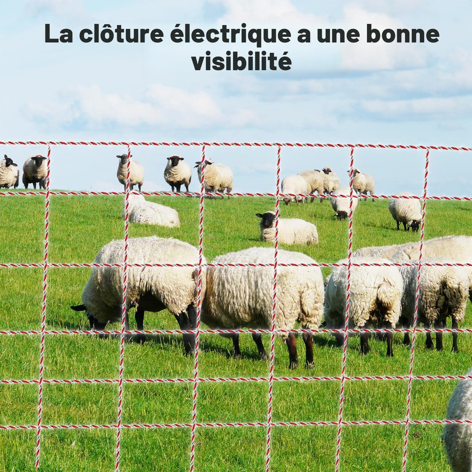 Corde de Clôture Electrique, Clôture de Fil de Bétail en Acier Inoxydable Corde Conducteur de Clôture Accessoires de Clôture Electrique pour (1000M) | Corde de Clôture Electrique Clôture de Fil de Bétail en Acier Inoxydable Corde Conducteur de Clôture Acc