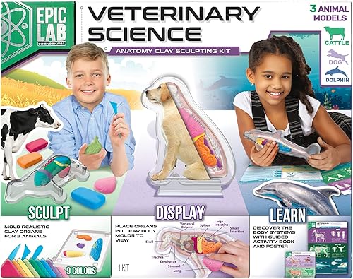 Kit STEM de ciencia veterinaria para niños kit de anatomía animal con arcilla de modelado para niños de 8 años en adelante 27 piezas