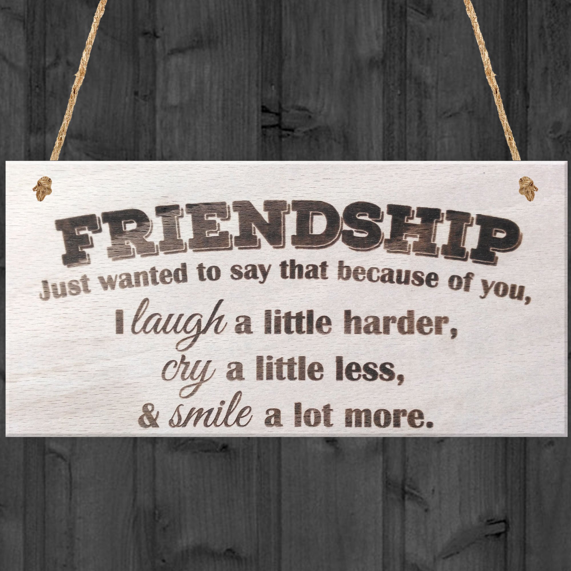 Red Ocean Friendship Just Wanted To Say That Because Of You I Laugh A Little Harder Cry A Little Less & Smile A Lot More Wooden Hanging Plaque Best Friends Gift Sign