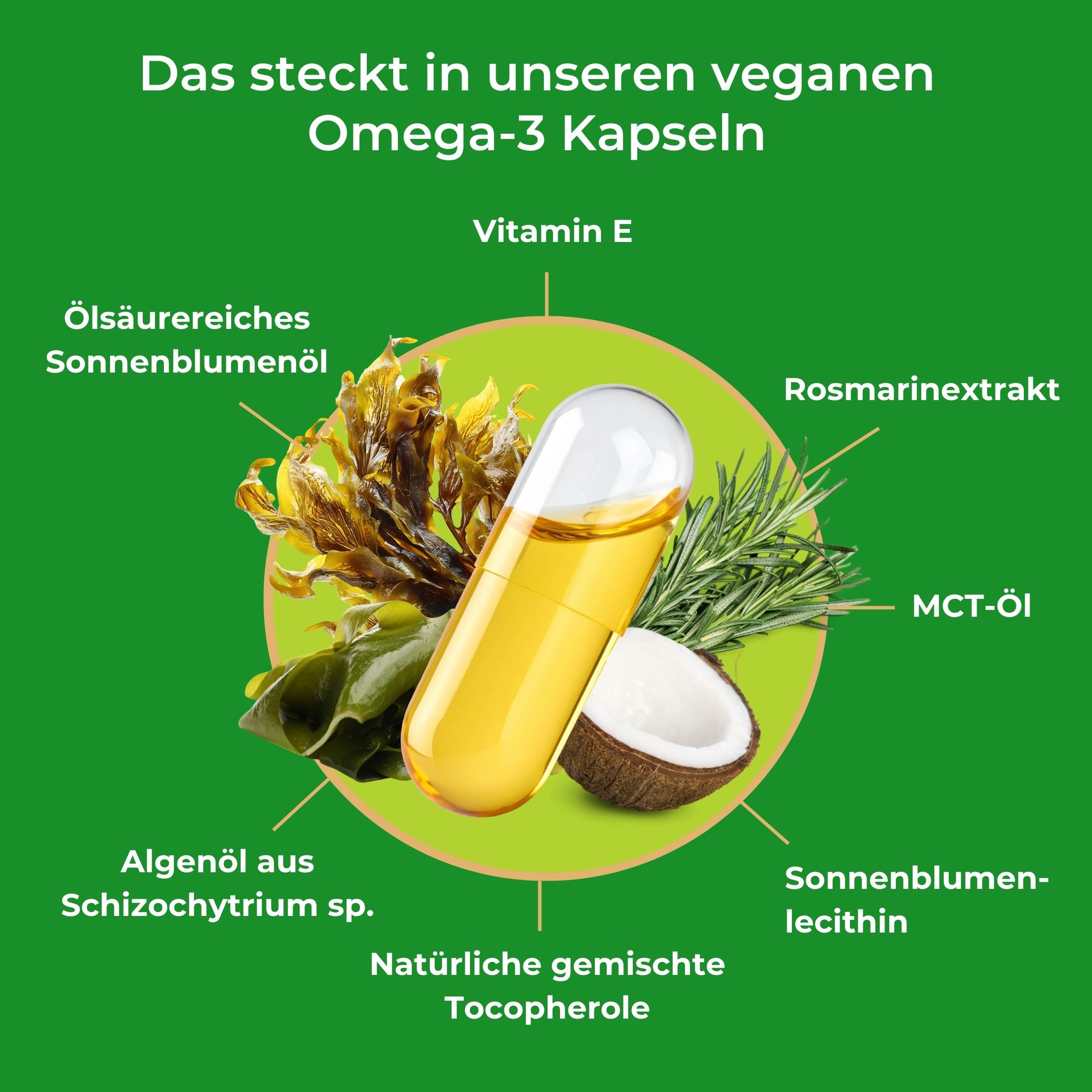 Vegane Omega-3 Kapseln - aus Algenöl - 936 mg Omega-3 pro Tagesdosis | 576 mg DHA & 288 mg EPA pro Tagesdosis - niedriger Totoxwert - 2 Kapseln pro Tag - 60 vegane Kapseln - ohne Zusatzstoffe