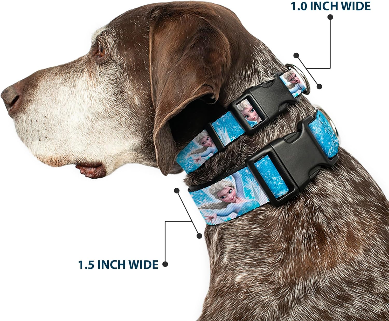 Buckle-Down Plastic Clip Collar - Frozen Elsa Face/Action Pose/Snowflakes Blues/White - 1.5" Wide - Fits 13-18" Neck - Small