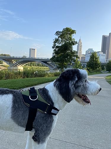 Vista 53 de ShawnCo Essential - Arnés para perro, chaleco sin tirones para mascotas con 3 clips de correa, sin estrangulamiento, reflectante, ajustable