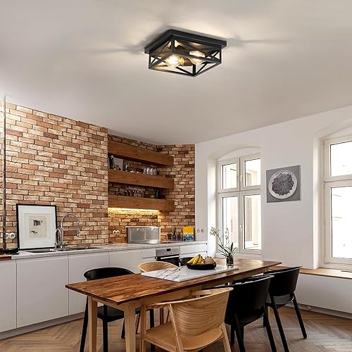 Miniatura 8 de Lámpara de techo de metal rústico negro de montaje empotrado, 2 luces industriales de granja, luces de pasillo de granja, jaula de metal cerrada al