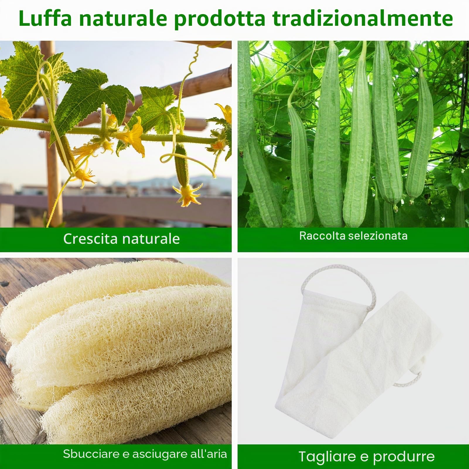Loofah Back Scrubber, cinturino da bagno in luffa con spugna di Luffa, esfoliante biologico esfoliante per la schiena, per uomini e donne