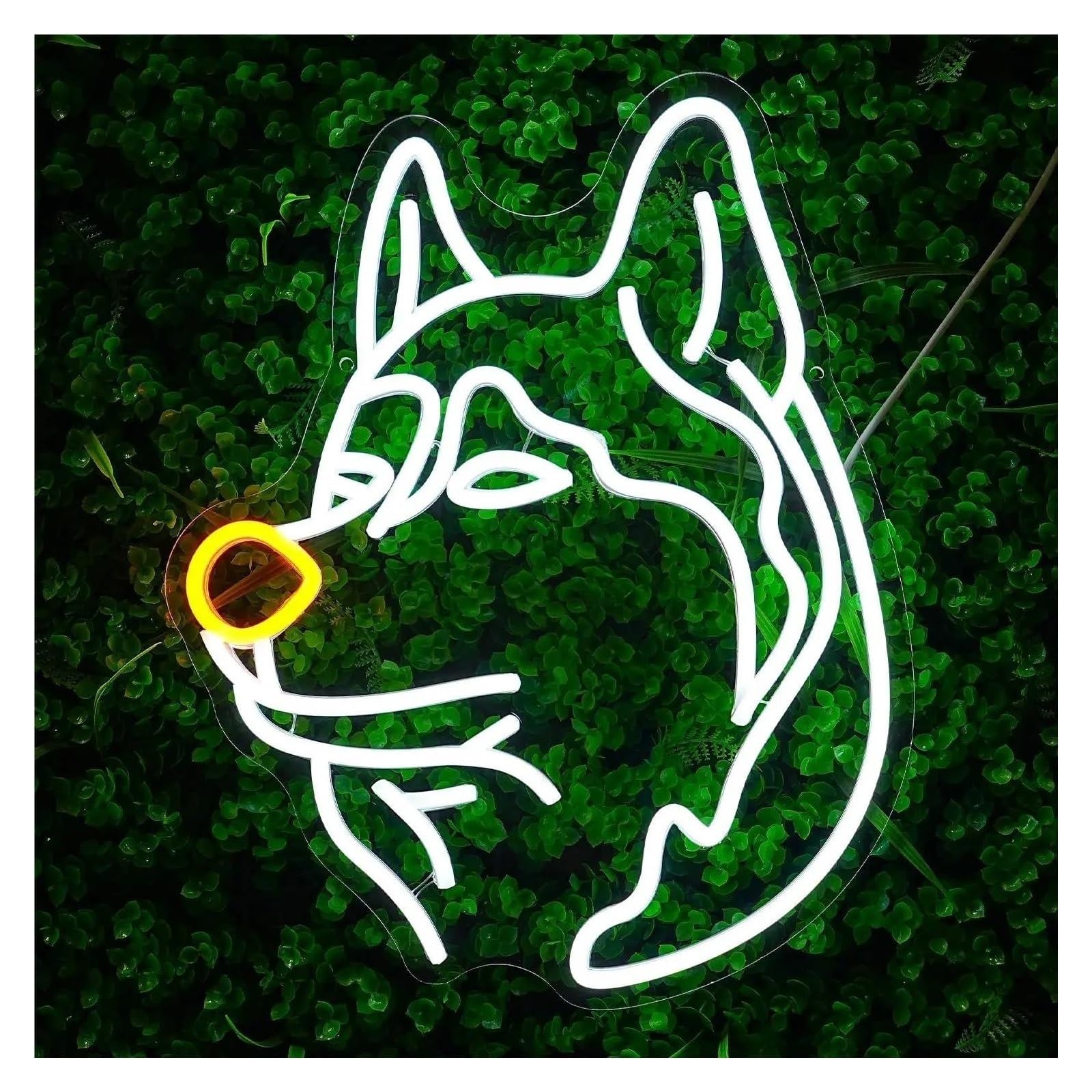 Insegna luminosa al neon Negozio di animali Cuccia per cani Per ospedale Zoo Soggiorno Hotel Bar Decorazione da parete