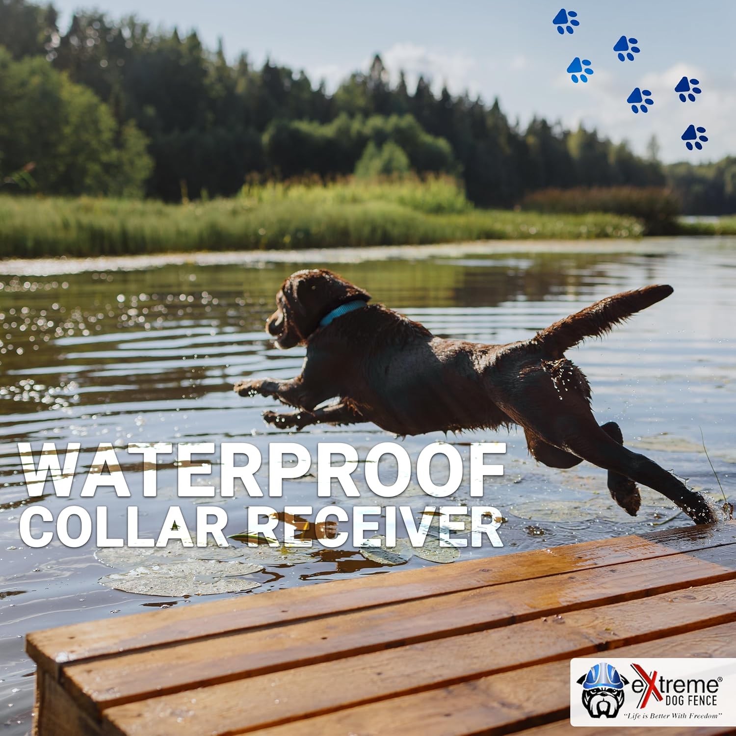 Extreme Dog Fence Stubborn/Hyper Dog Add-On Receiver Collar 9 Correction Levels, Waterproof, Large & Medium Contacts Included for Strong-Willed Dogs 20–220 lbs