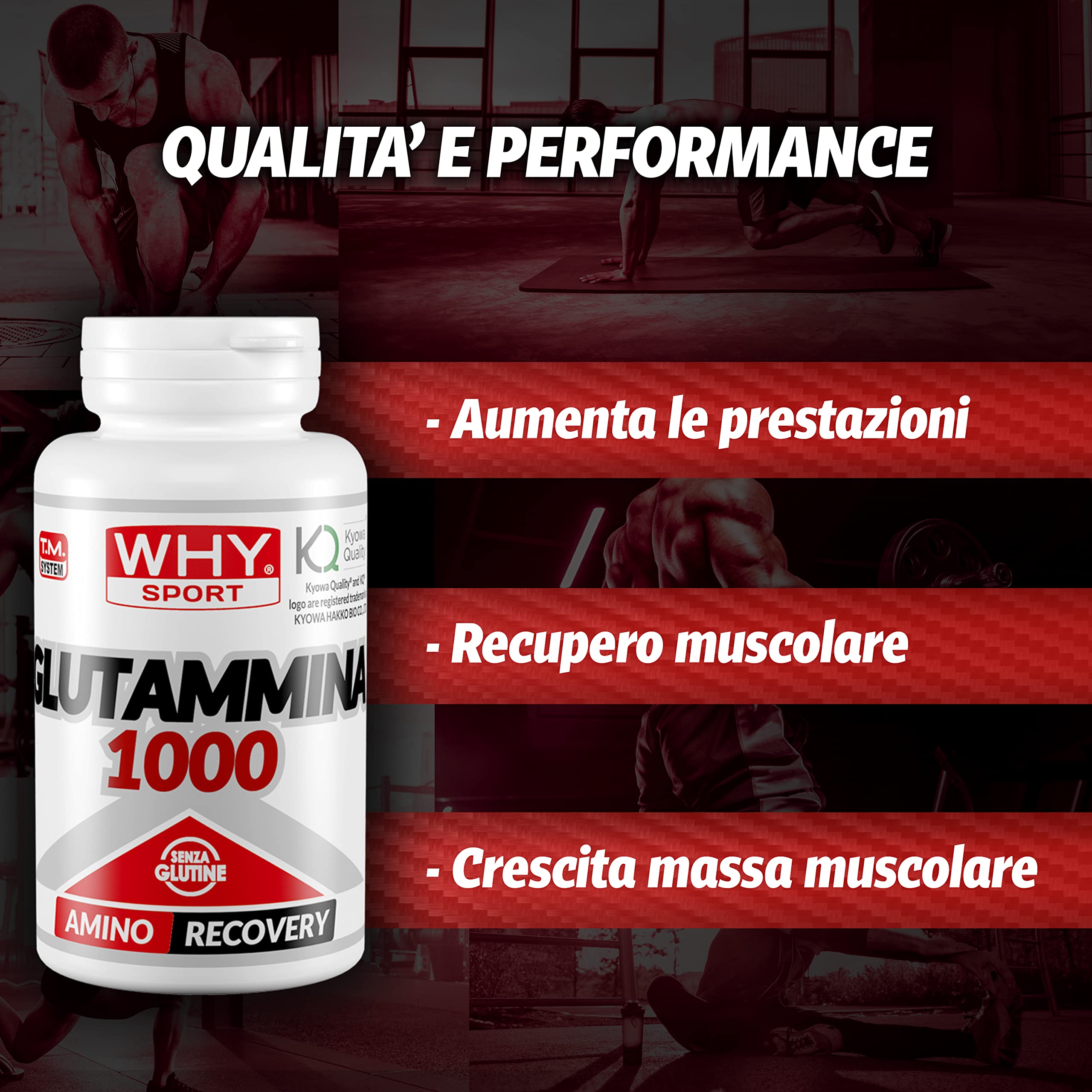 WHY SPORT GLUTAMMINA 1000 – Amminoacidi - Integratore Alimentare a Base di L-Glutammina – 100 Compresse