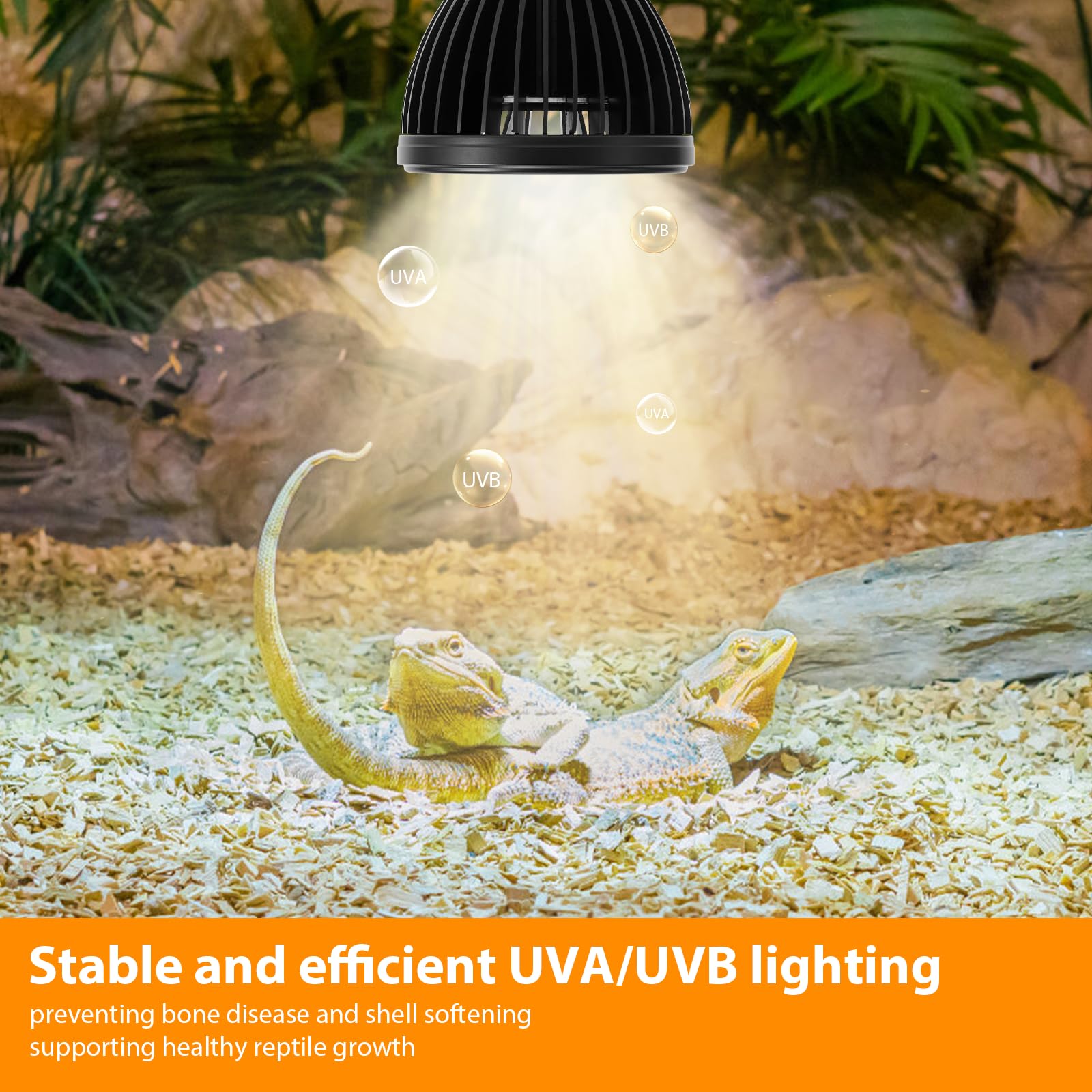 REPTITRIP Bombilla UVB para reptiles, 5 W, 10,0 UVB, lámpara de reptil, proporciona suficiente exposición UVB para reptiles en el desierto, sin lámpara de calor