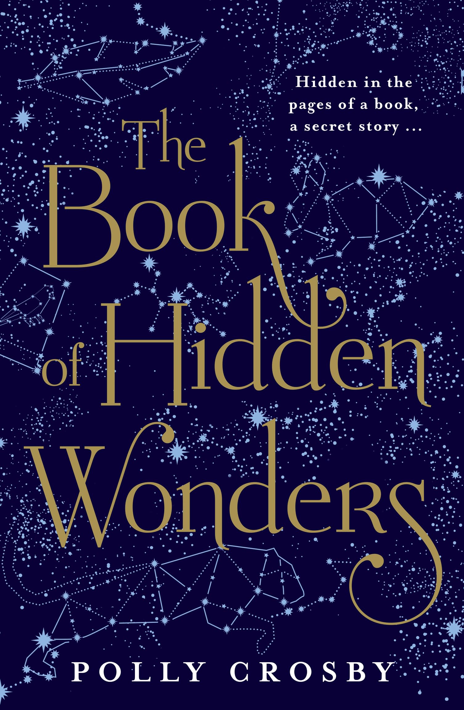 Buy The Book of Hidden Wonders: 2020’s most haunting and magical literary fiction debut novel about a young woman’s search for the truth — BookShops.in