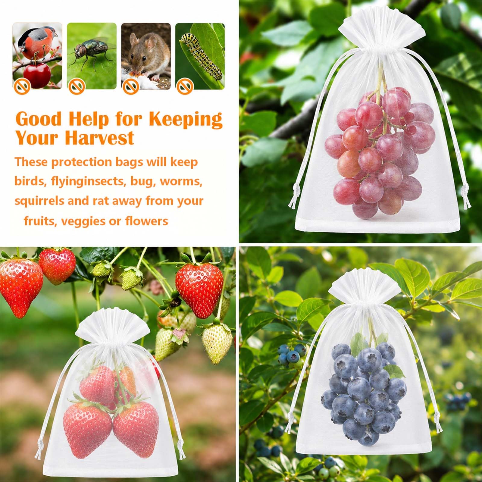 Sachet Protection Raisin 30x40 cm Lot de 100 Sac Filets Jardin