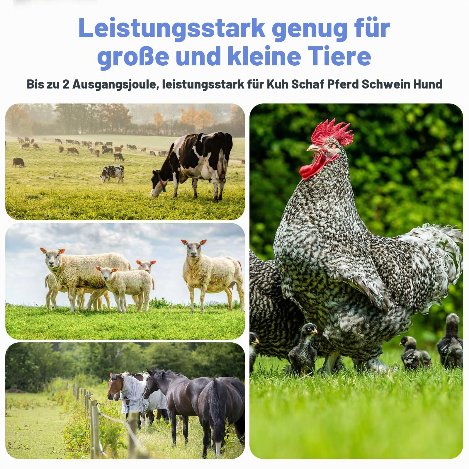 12V Weidezaungerät 2J Output für 2 bis 15 km, niedrige Impedanz Spitzenspannung 12kV für Geflügel, Vieh, Hobbytiere, Haustiere, Steuergerät zum Schutz von Gärten