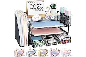 Dest Organizer Keeps Desk Tidy and Supplies within Arm's Reach