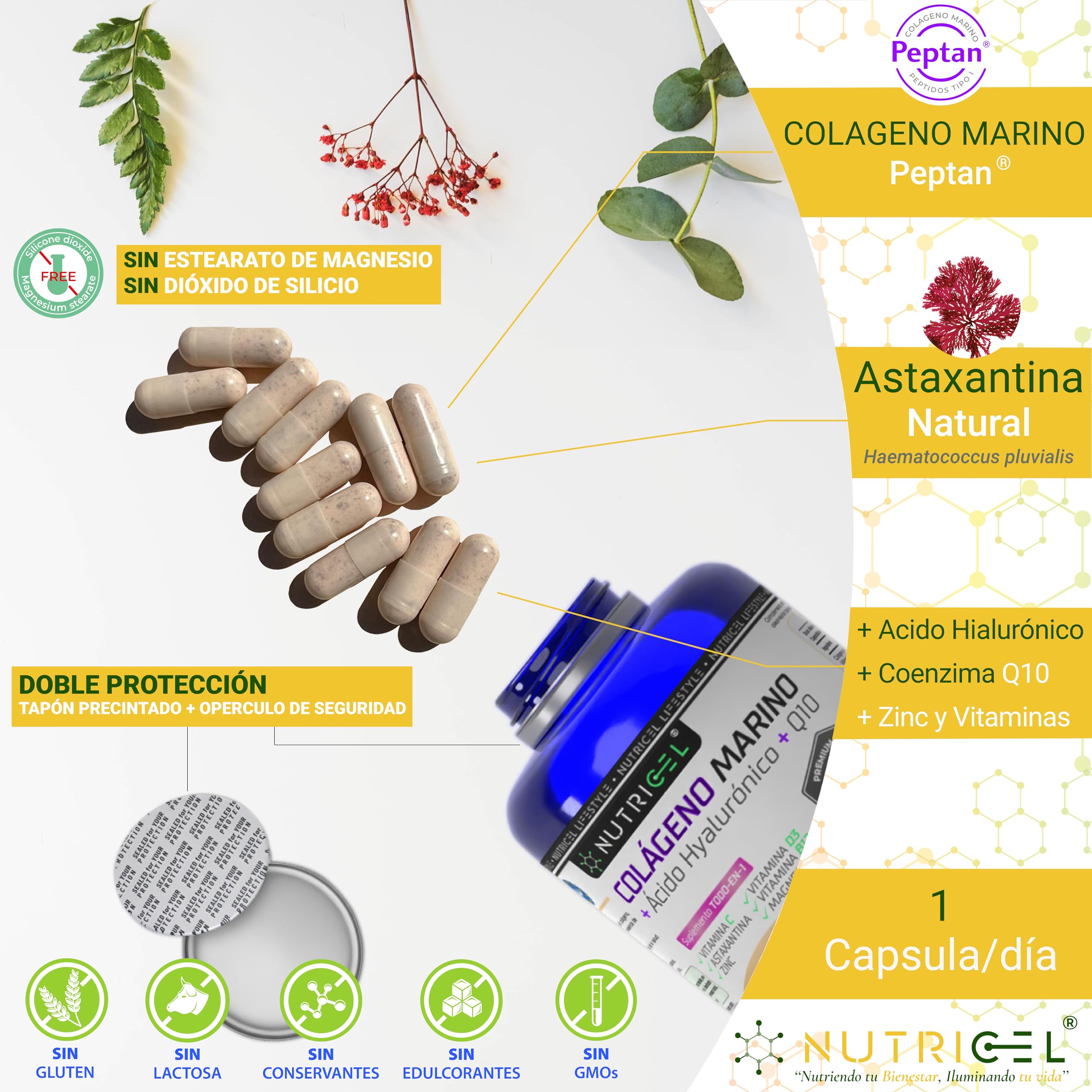 Colágeno Marino Hidrolizado Peptan® + Ácido hialuronico + Magnesio + Astaxantina + CoQ10 + Zinc + Vitaminas C, D3 y B12 - Articulaciones Fuertes, Piel Tersa y Energía - Probada en laboratorio