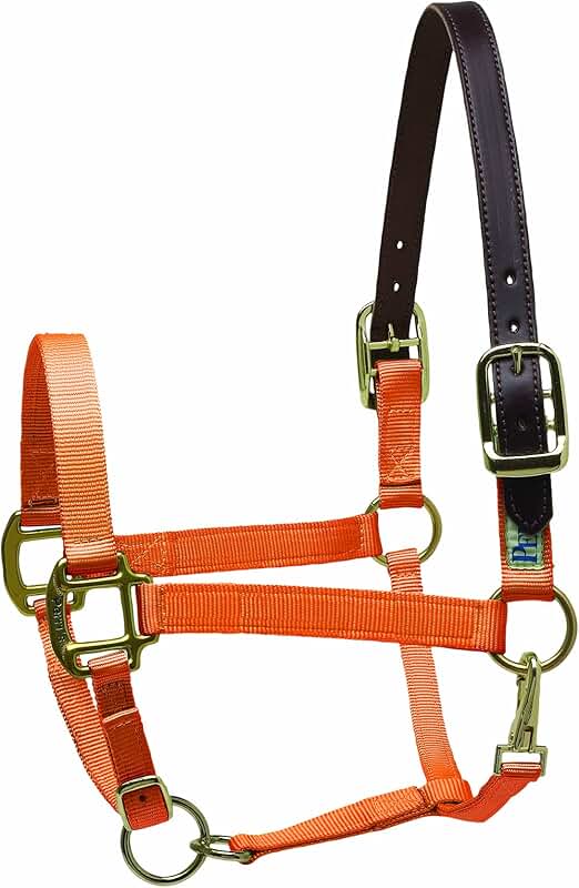 cob size halter