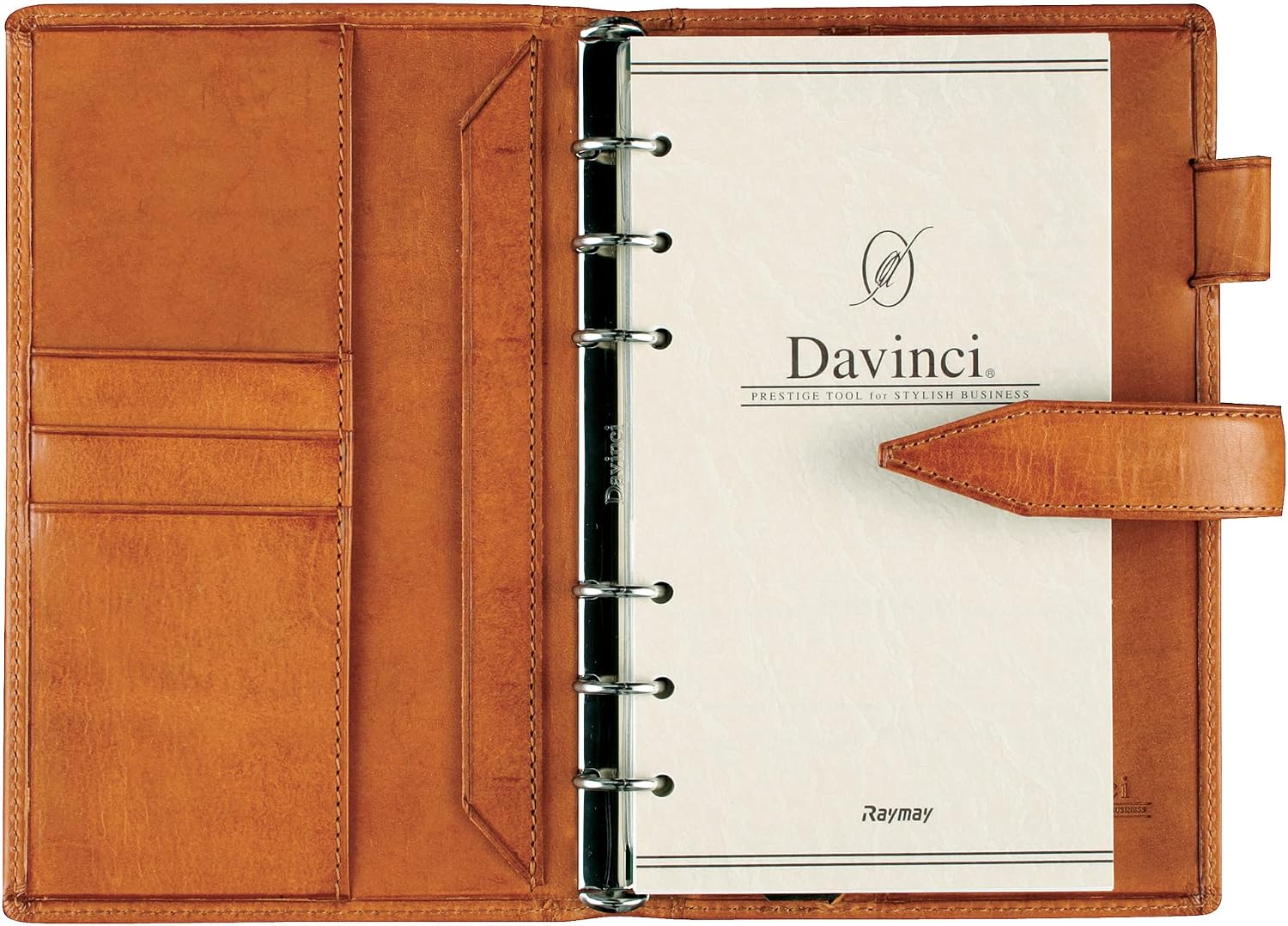 Raymei Fujii DB3011A Personal Organizer, Da Vinci Loroma Classic Bible, Blue
