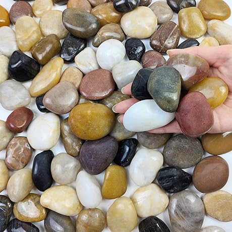 Colorful Rocks and Stones for Enhanced Plant Aesthetics