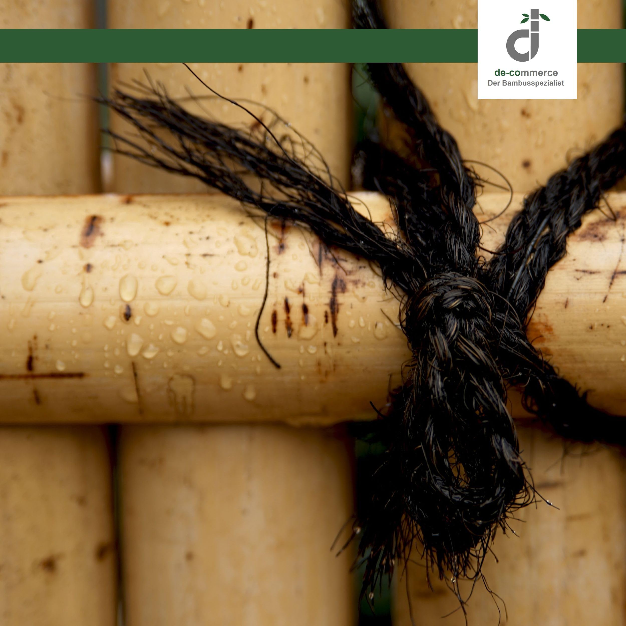 DE-COmmerce 1 Liter Bambusl Bamboo Care farblos fr Bambuszaun auen,  witterungsbestndiges Bambus Pflegel, Holzpflegel auf Leinlbasis,  Bambuspflege, Leinlfirnis : Amazon.de: Baumarkt
