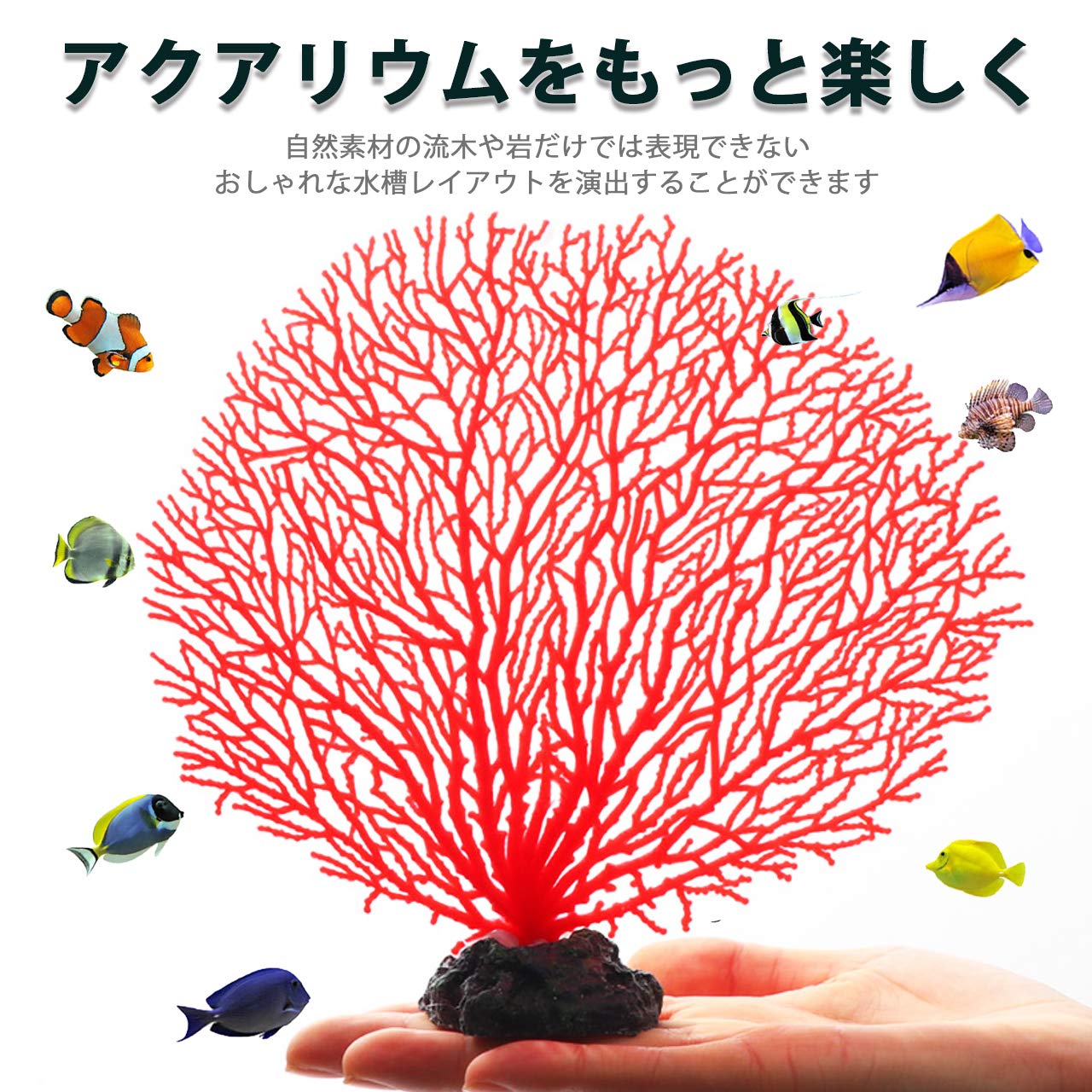 Amazon | HIRAISM 珊瑚 サンゴ オブジェ 水槽 アクアリウム