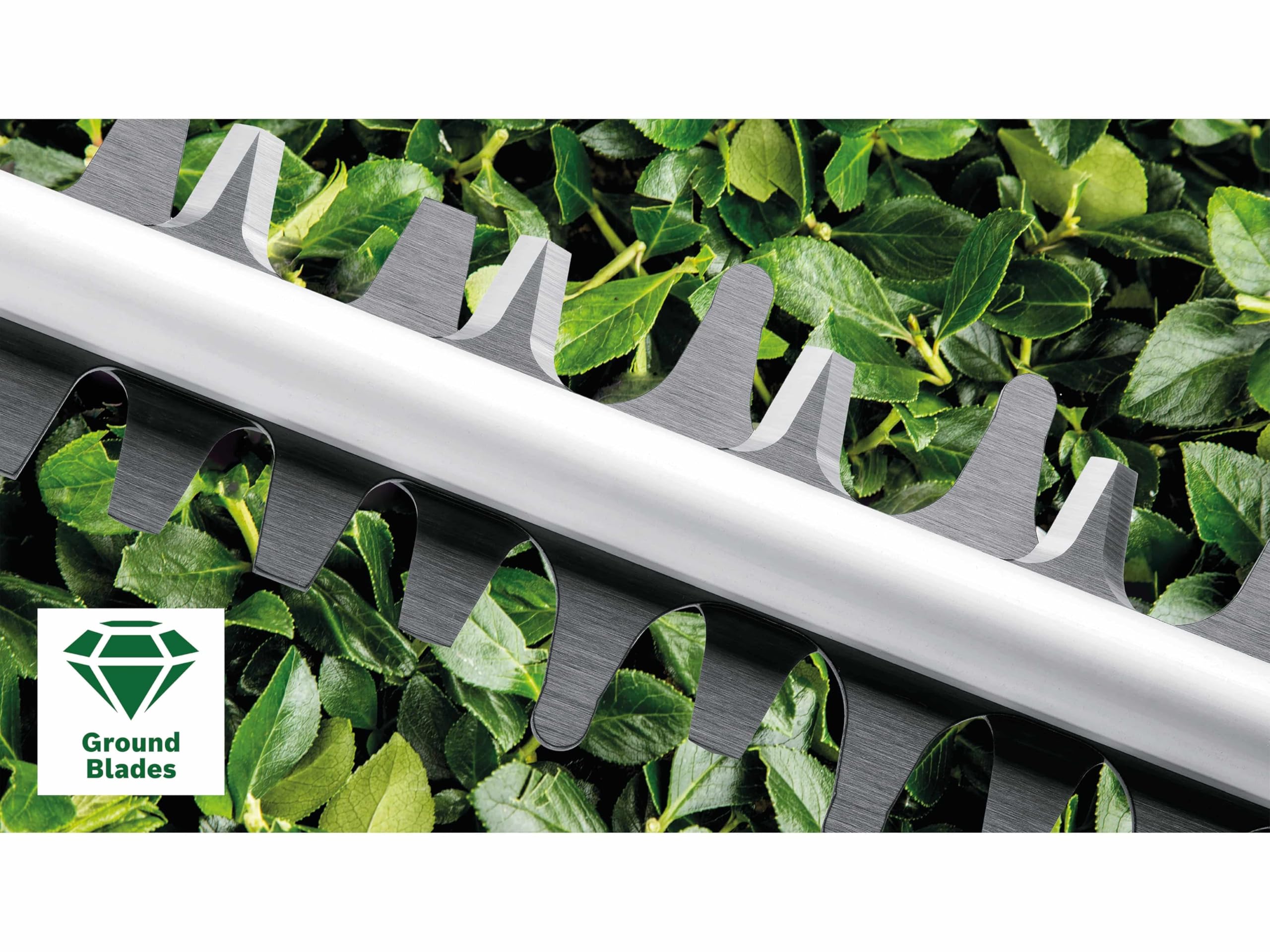 Bosch AdvancedHedgeCut 65 Taille-Haies 500 W 65 cm 34 mm